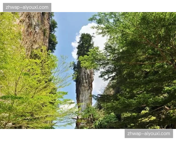 看台互动系统交互逻辑更迭 观众手机摇身变为分赛场